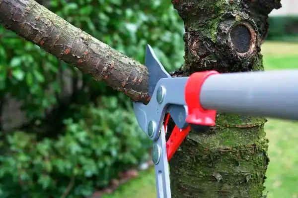 tree services Whidbey Island Station